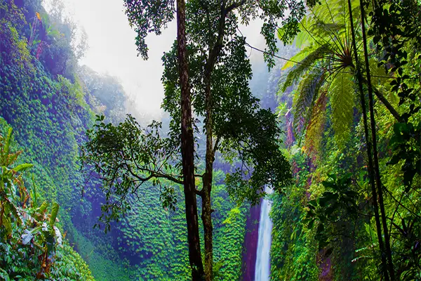 Road to Hana Adventure Tour: Departing Maui or Oahu