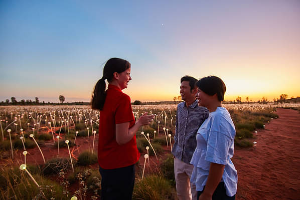 Uluru Sunrise & Field of Light Discount