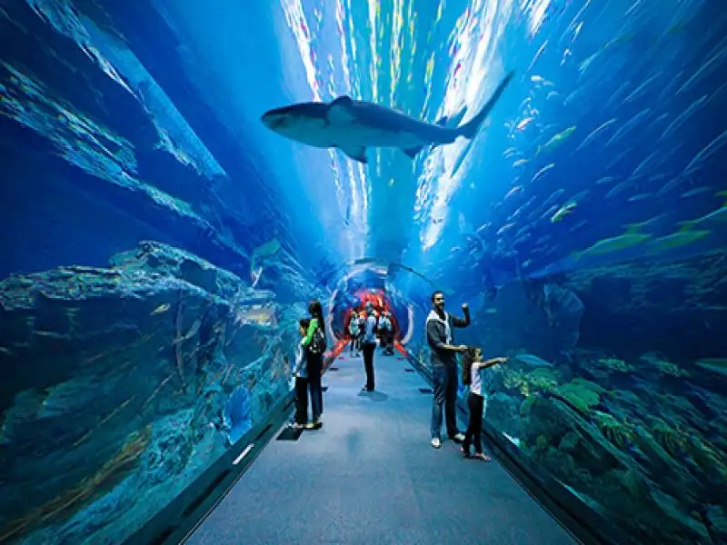 Burj Khalifa & Dubai Aquarium Package