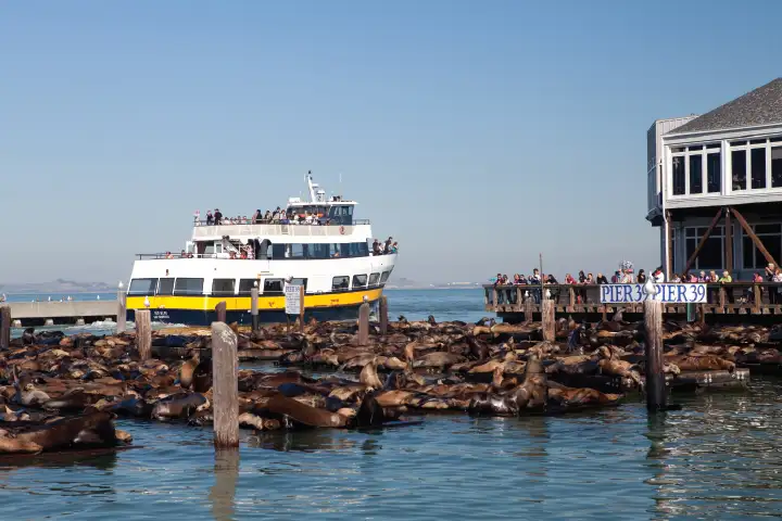 San Francisco Bus and Boat Adventure