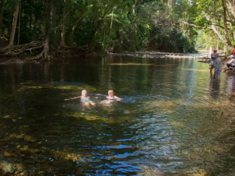 1 Day Daintree and Cape Tribulation Tour