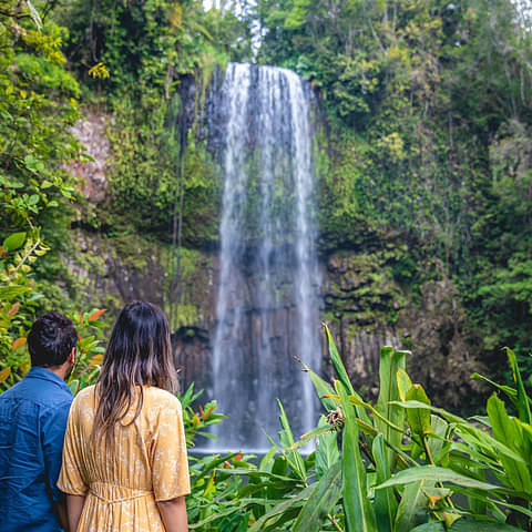 atherton tablelands tours from Cairns