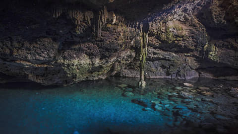 MEXICO CITY 14 DAY TOUR
