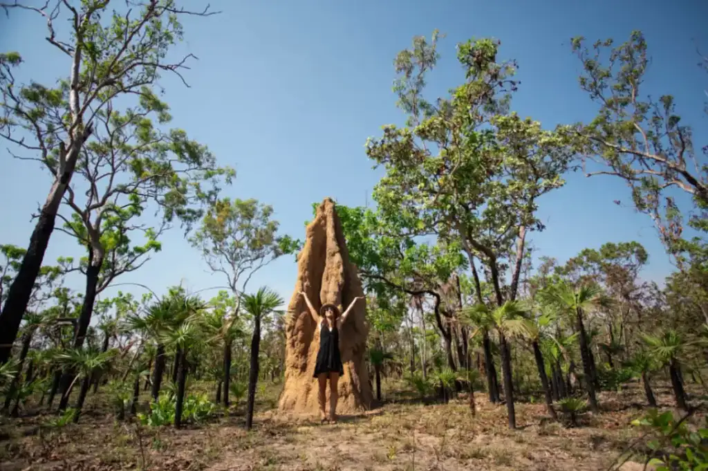 3 Day Kakadu to Litchfield 4WD Safari Tent Camping | From Darwin (BDTNT100EXT)