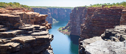 Kakadu