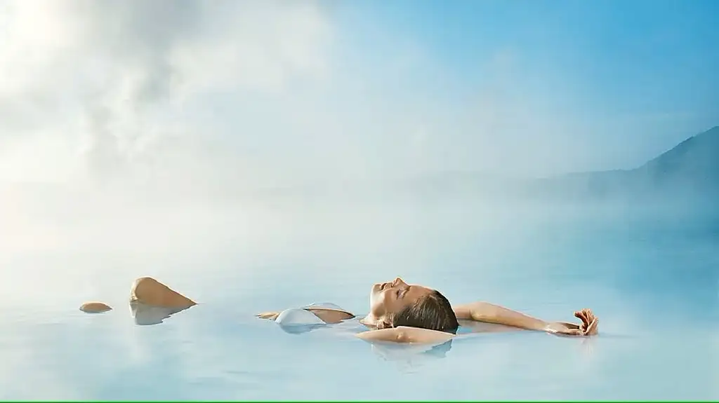 Blue Lagoon Admission and Northern Lights Guided Tour in Reykjavik