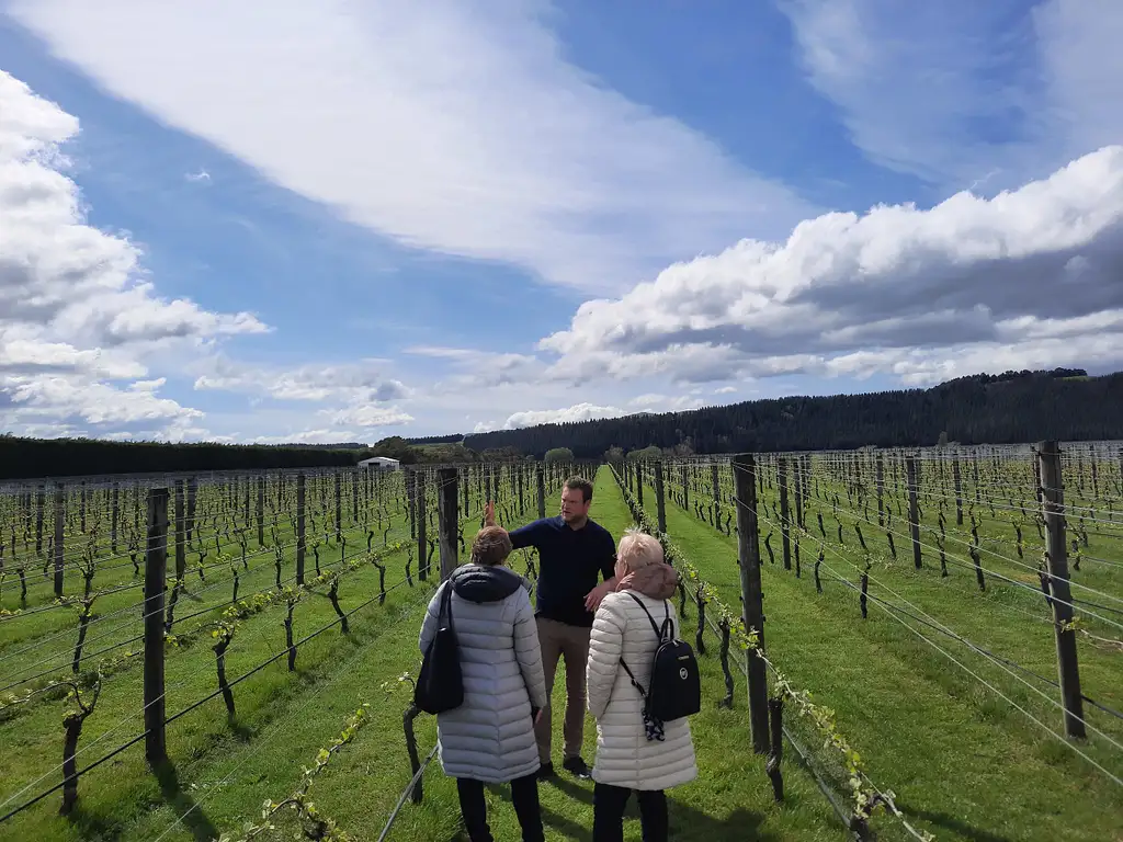 Martinborough Winery & Foodie Tour