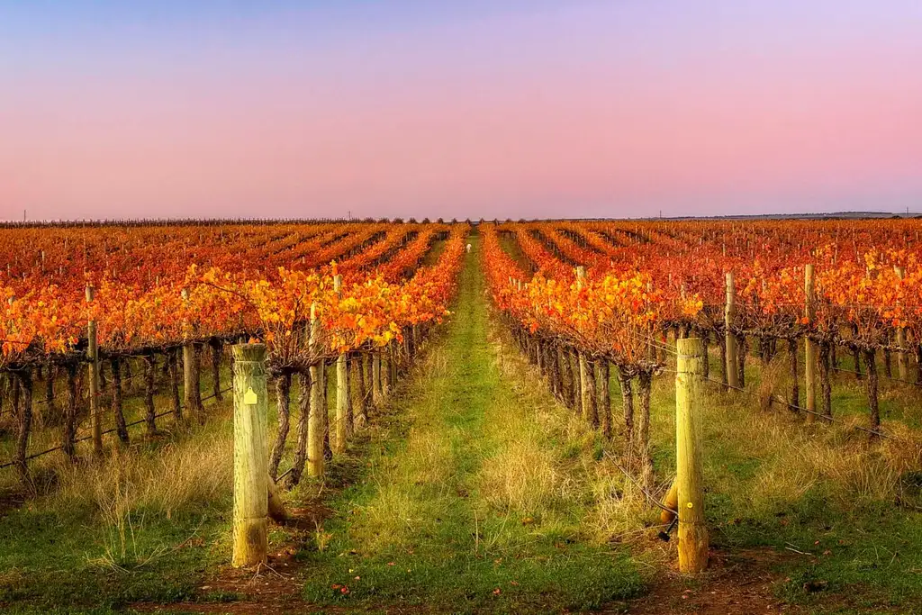 3 Day Grapes for Good E-Cycling Safari & Wine Experience