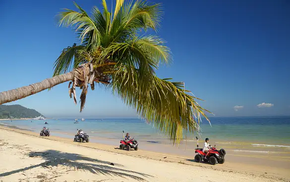 The Best Moreton Island Day Trips