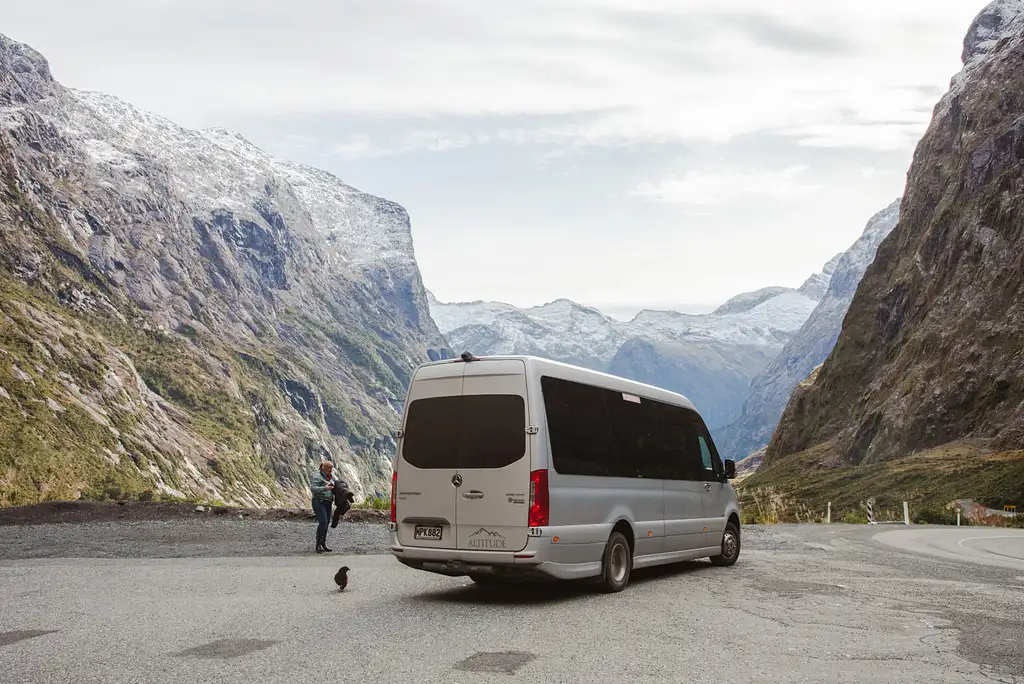 Milford Sound Scenic Small Group Tour & Cruise | From Queenstown