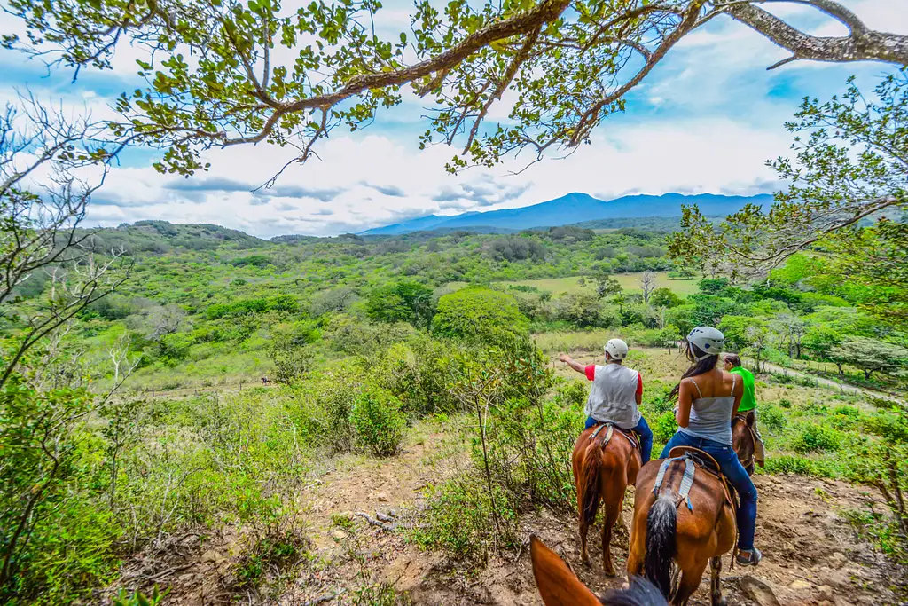 One Day Adventure Pass at Vida Aventura Nature Park