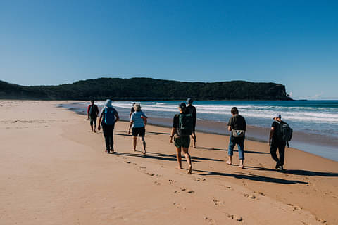 Murramarang National Park Kayak and Walk Day Tour