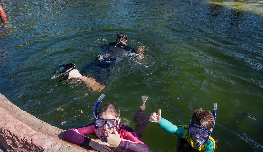 Irukandji Entry Pass with Sting-ray snorkel included