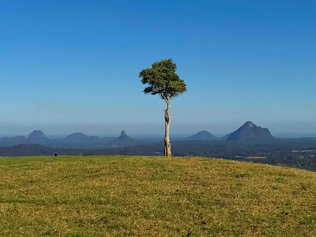 Maleny and Montville Tour with Artisan Village and Wine Tasting (Premium Private Tour)