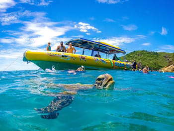 Whitsundays Tours & Activities