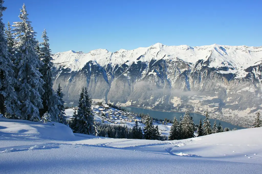 Grindelwald and Interlaken Day Trip from Zurich