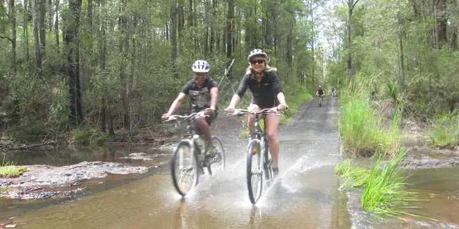 Rainforest Mountain Bike Tour