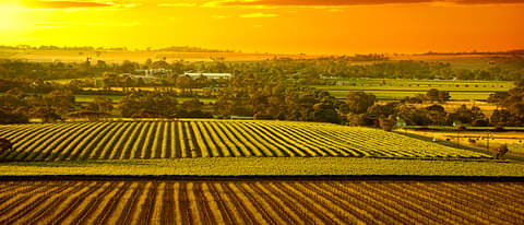 Adelaide