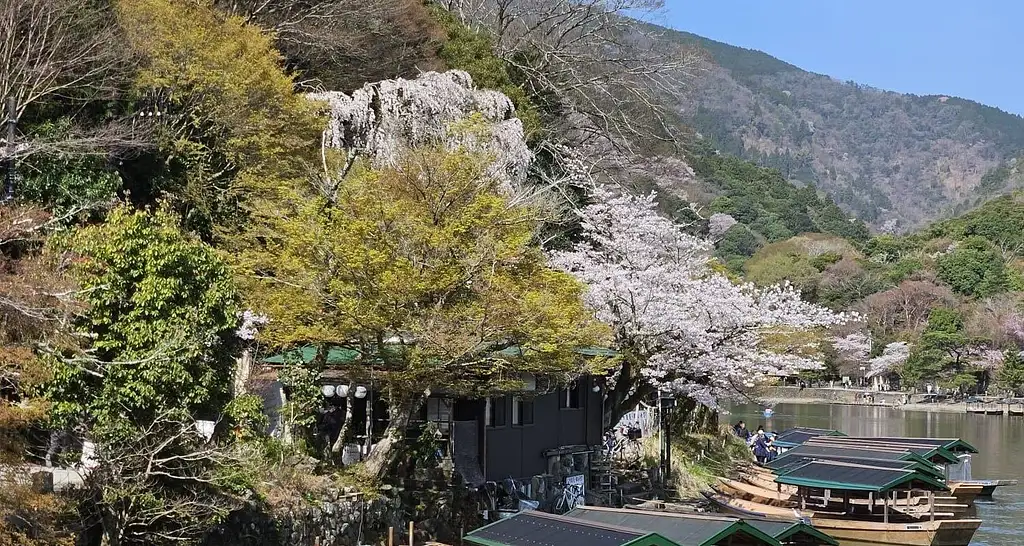 9 Day Japan Essentials: Tokyo to Osaka Tour | One Life Adventures