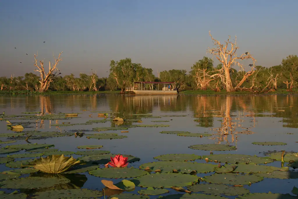 Corroboree Billabong | 2 Hour Sunrise Wetland Cruise