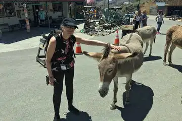 Historic Oatman Village & Route 66 Museum Experience