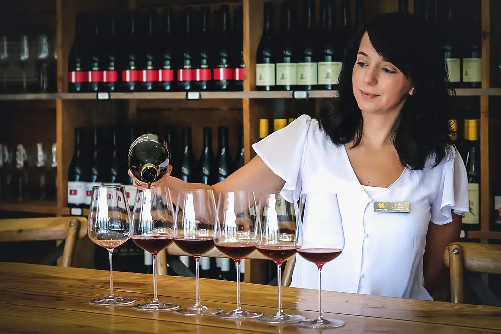 Queenstown Zip & Sip Tour