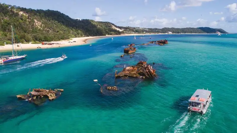 Marine Discovery Day Cruise with option to upgrade to Dolphin Feeding | Moreton Island