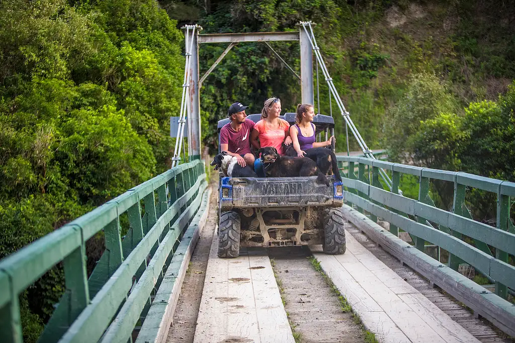 8 Day Pukeko Tour | Auckland to Wellington | Stray
