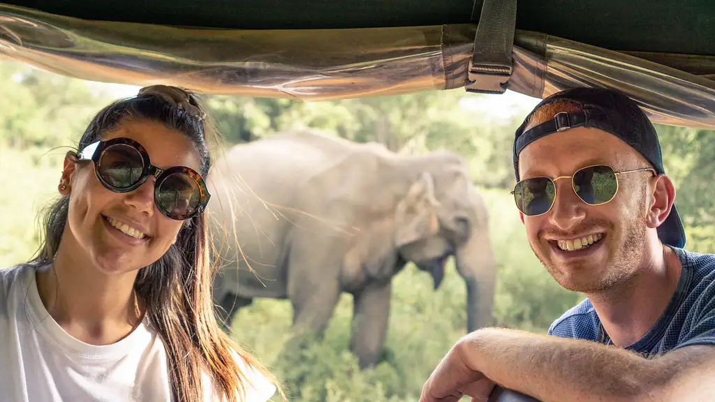 12 Day Tour Sri Lanka Classic Negombo to Colombo | One Life Adventures