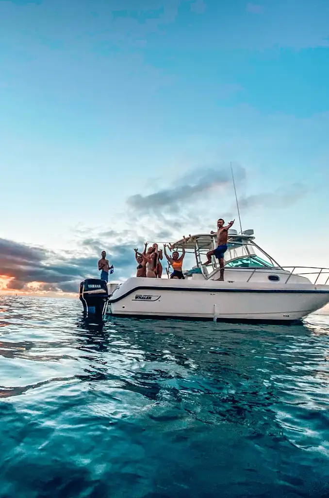 Whale Watching Eco Tour - Oahu