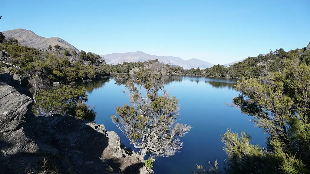 Lake Wanaka Mou Waho Island Cruise & Nature Walk