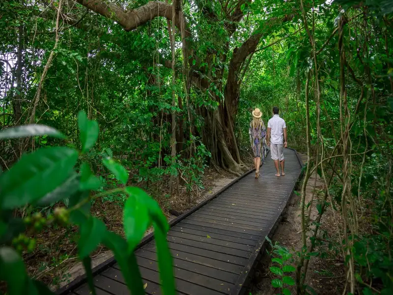 Green Island & Great Barrier Reef Day Adventure