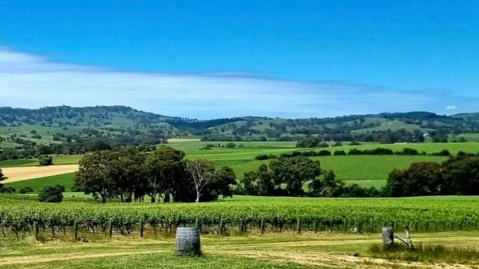 Barossa Valley Food & Wine Experience with Scenic Flight - God's Hill Wines