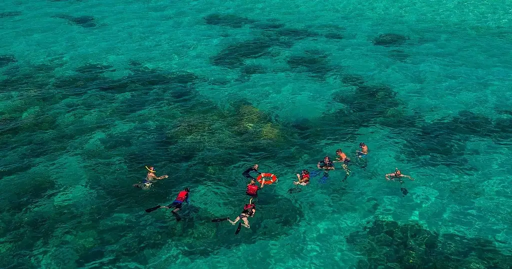 Sail, Snorkel, Dive Green Island And Great Barrier Reef