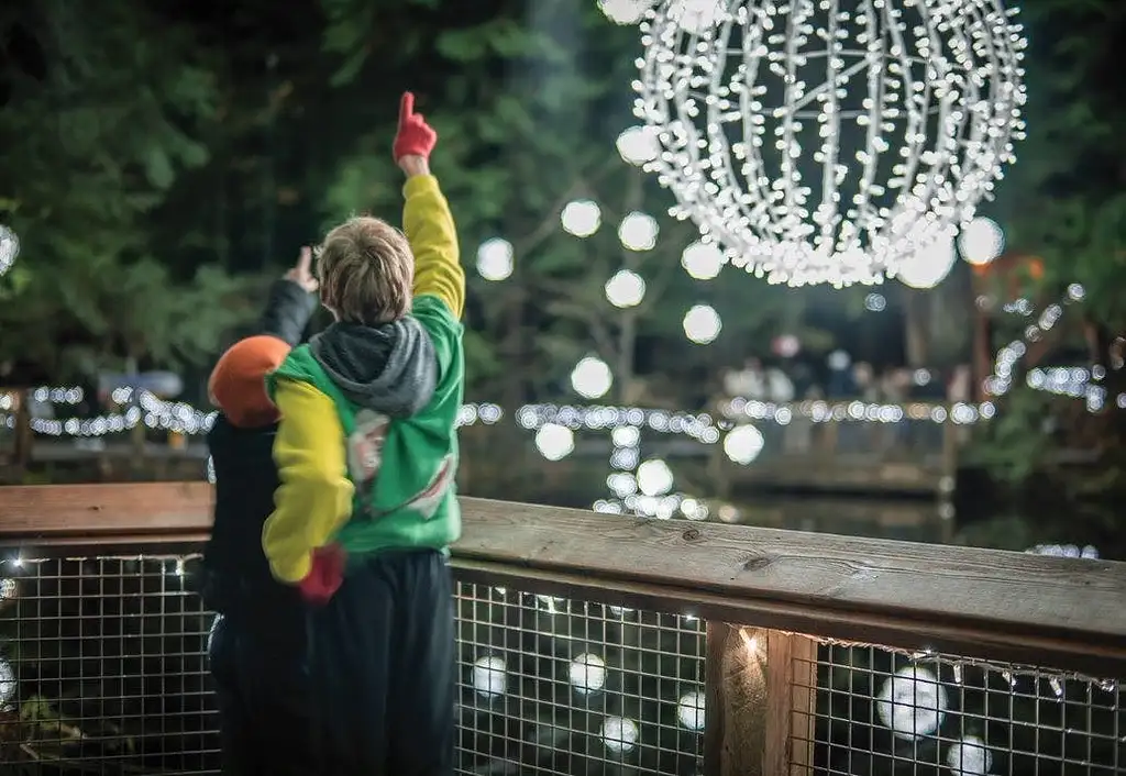 Vancouver and Capilano Canyon Lights Christmas Guided Tour