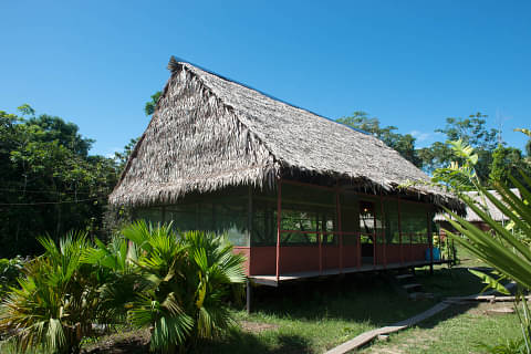 11 DAY PACAYA SAMIRIA CAMPING TOUR IQUITOS PERU 2