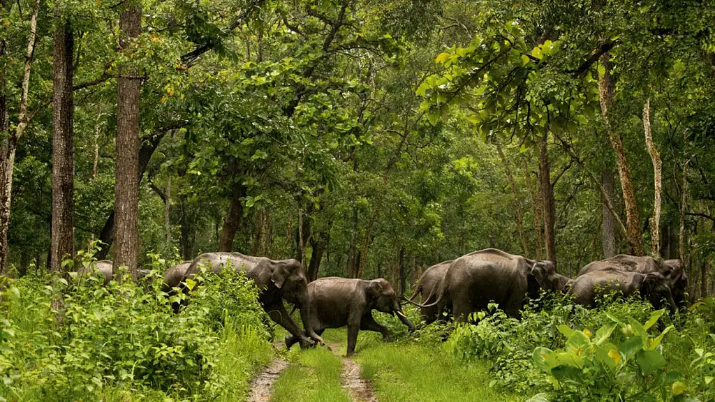 Best of Kerala Tour