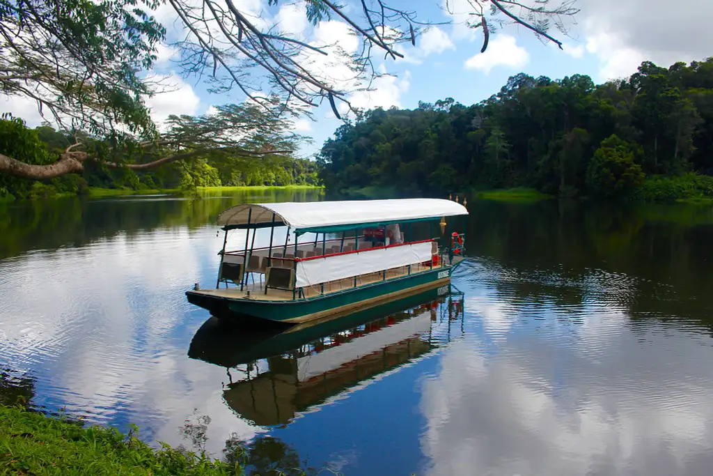 Paradise Kuranda Guided Rainforest Walk
