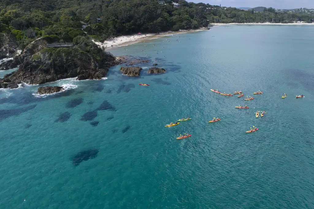 Dolphin Watching and Kayaking Experience from Byron Bay
