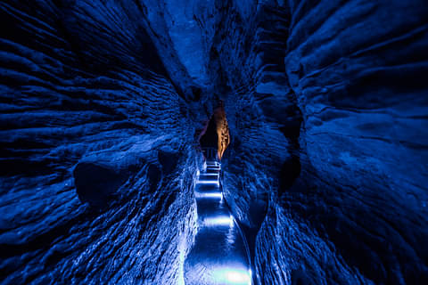 Waitomo cave tours