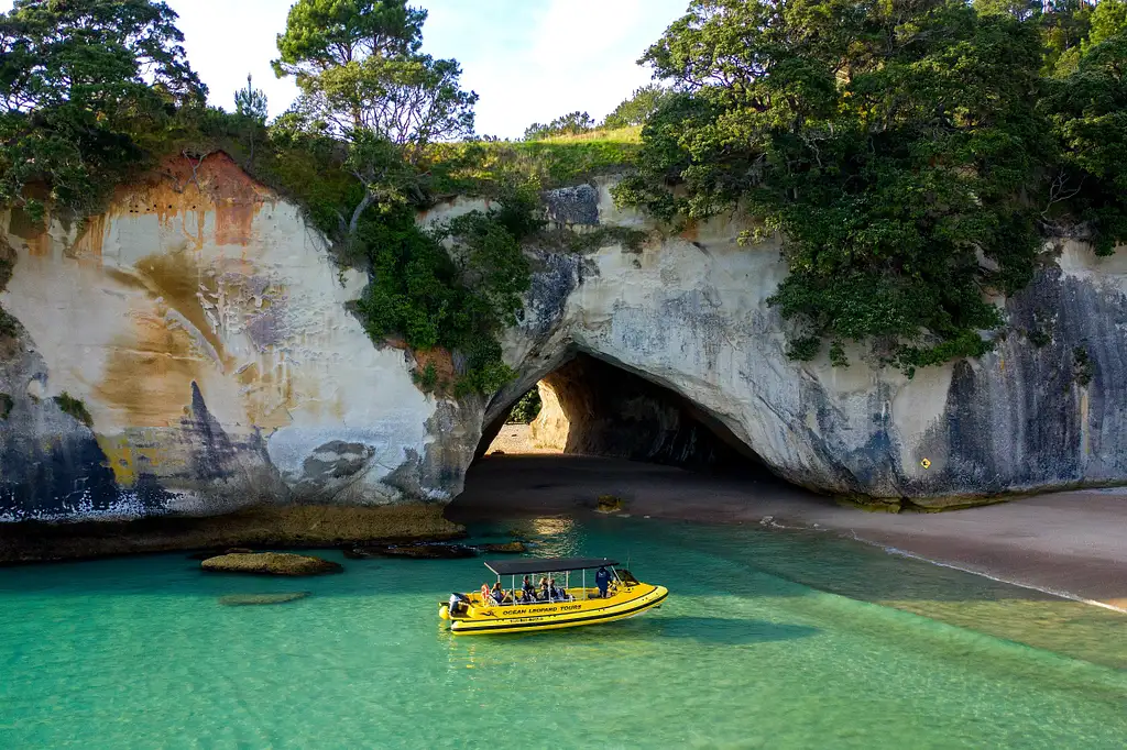The Full Monty Boat Tour - New Zealand