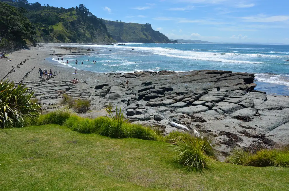 Goat Island Marine Reserve Day Tour