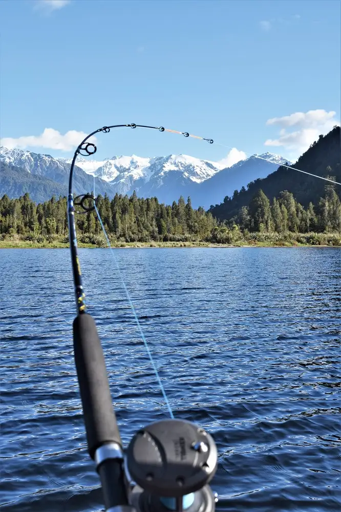 Franz Josef Fishing Charter