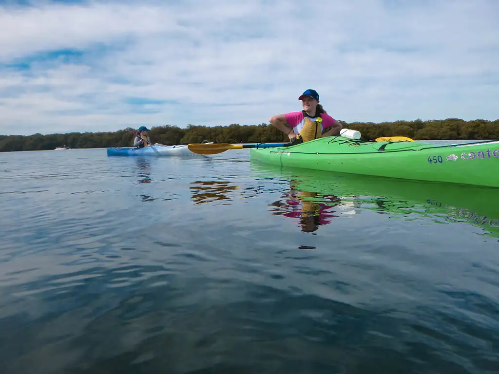 Port Adelaide Dolphin Sanctuary & Ship Graveyard Kayak Tour