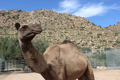 keepers of the wild nature park & route 66 experience