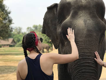 Thailand Elephants and Beaches 15 Day Adventure: 4 Star Boutique Accom