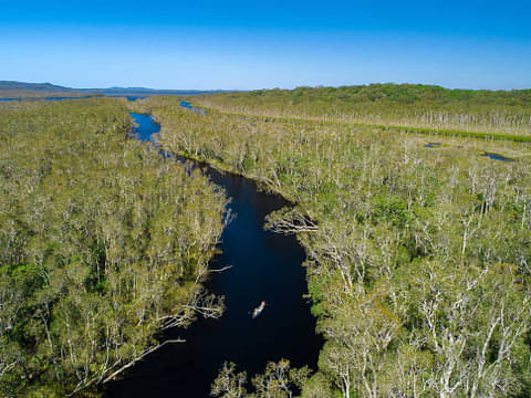 noosa everglades eco-cruise