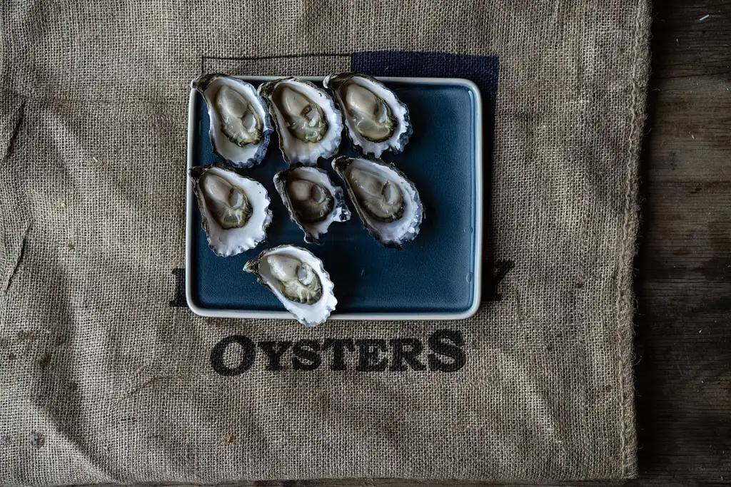 Broken Bay Oyster Farm Experiences - Oyster Tasting or Farm Tour