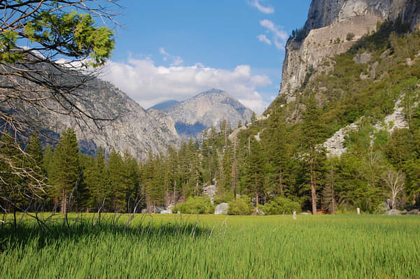 Yosemite National Park Tour specials