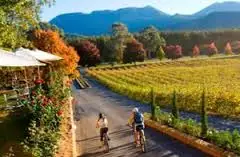 3 Day Self Guided Cycling Tour of Murray to Mountains Rail Trail from Beechworth